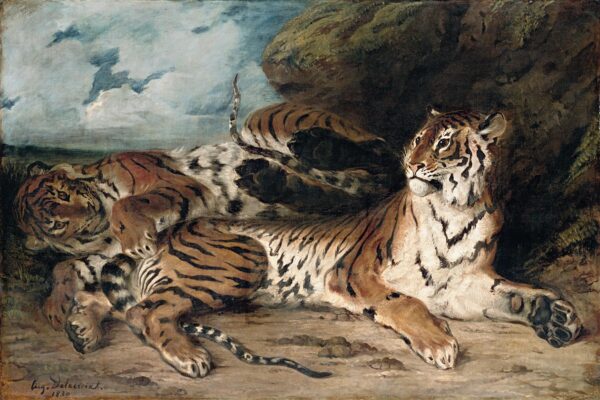 Joven tigre jugando con su madre – Eugène Delacroix Eugène Delacroix Master Apollon