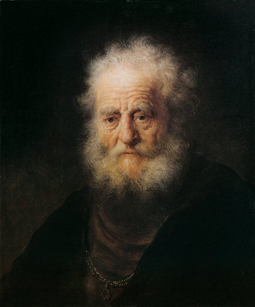 Cabeza de estudio de una persona anciana – Rembrandt van Rijn Rembrandt van Rijn Master Apollon