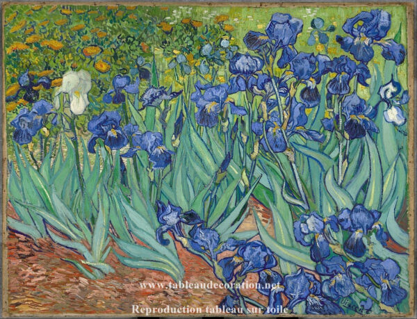 Los Iris – Van Gogh Cuadros populares Master Apollon