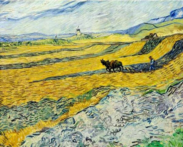 Campo con campesino labrando y el molino – Van Gogh Vincent Van Gogh Master Apollon