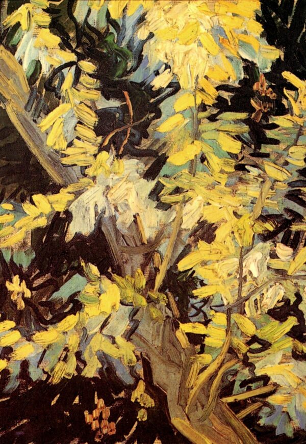 Acacias florecientes – Van Gogh Vincent Van Gogh Master Apollon