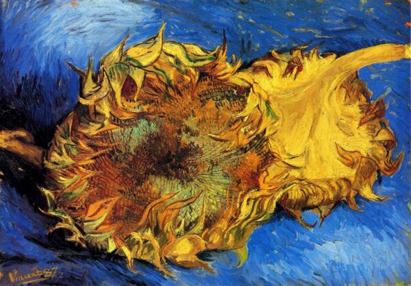 Dos girasoles cortados – Van Gogh Serie Girasoles de Vincent van Gogh Master Apollon