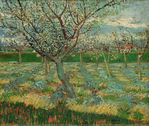 Verger en flores – Van Gogh Vincent Van Gogh Master Apollon