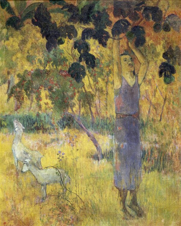 Hombre recogiendo frutas de un árbol – Paul Gauguin Paul Gauguin Master Apollon