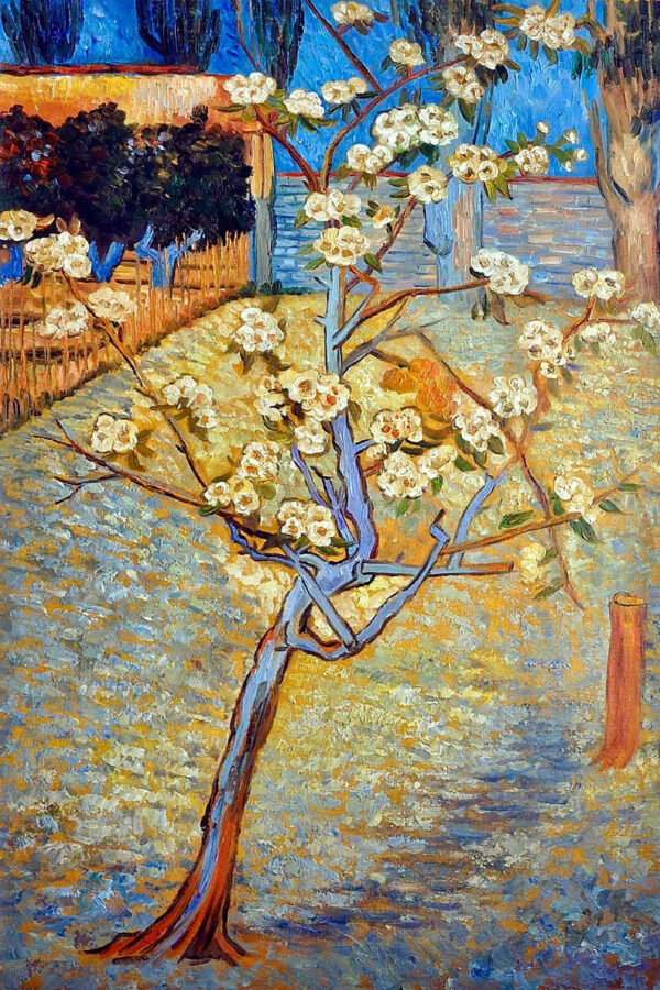 Poirier en flor – Van Gogh Vincent Van Gogh Master Apollon