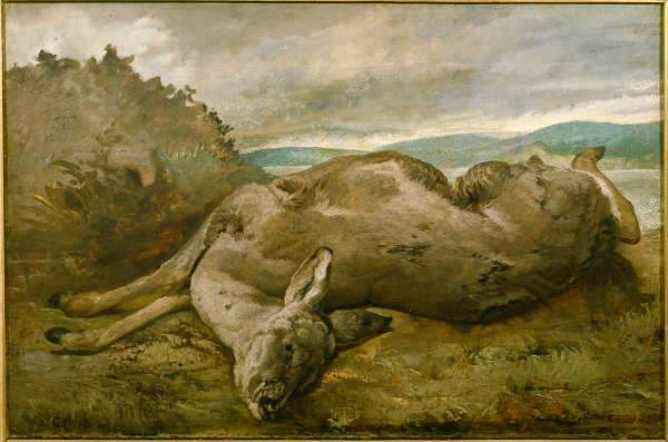 La biche – Gustave Courbet Gustave Courbet Master Apollon