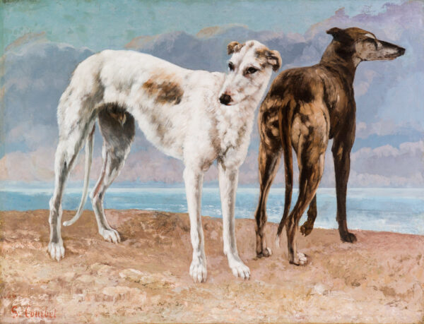 Los galgos del Conde de Choiseul – Gustave Courbet Gustave Courbet Master Apollon