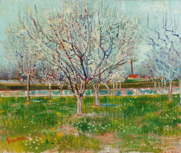 Jardín frutal en flor – Van Gogh Vincent Van Gogh Master Apollon