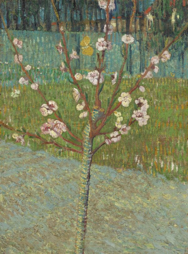 Amandier en flor – Van Gogh Vincent Van Gogh Master Apollon