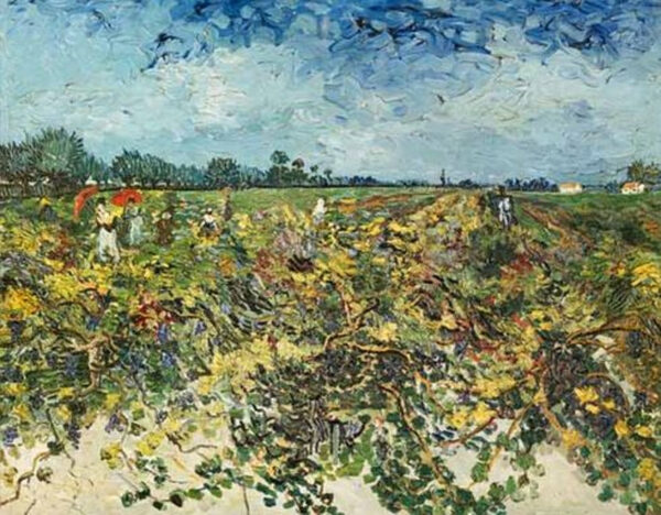 El viñedo verde – Van Gogh Vincent Van Gogh Master Apollon