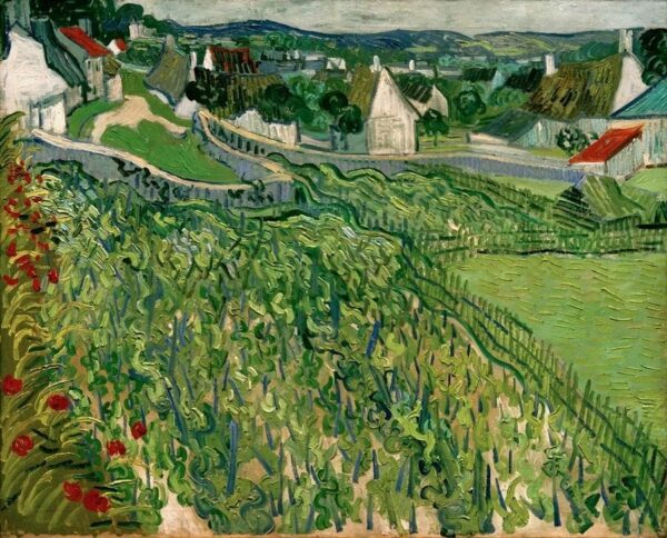 Viñedos de Auvers – Van Gogh Vincent Van Gogh Master Apollon