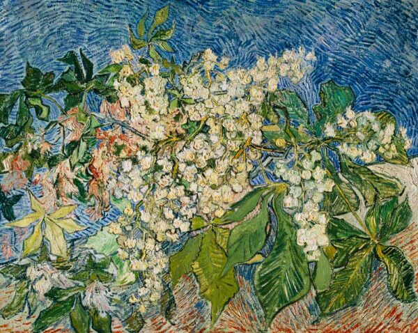 Ramas de castaños en flor – Van Gogh Vincent Van Gogh Master Apollon