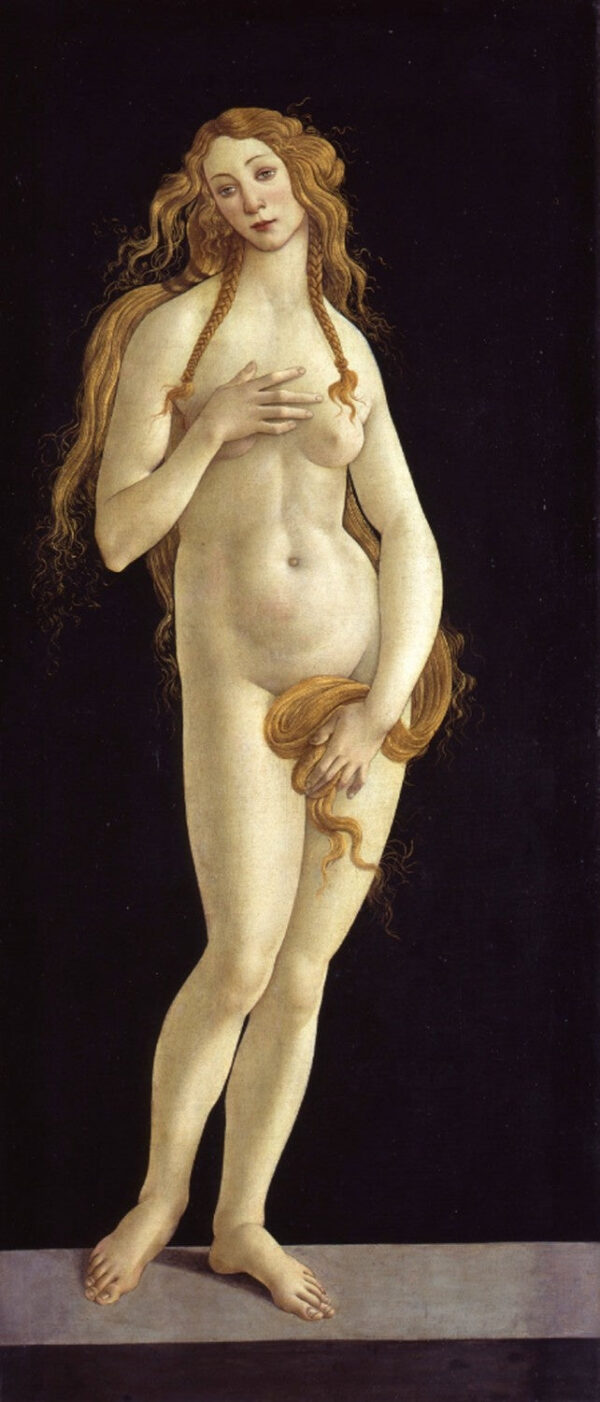 Botticelli (Taller), Nacimiento de Venus – Sandro Botticelli Sandro Botticelli Master Apollon