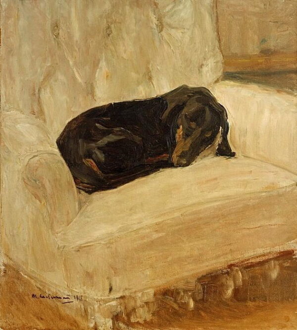 Teckel dormido en un sillón – Max Liebermann Max Liebermann Master Apollon