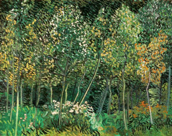 Pequeño bosque – Van Gogh Vincent Van Gogh Master Apollon