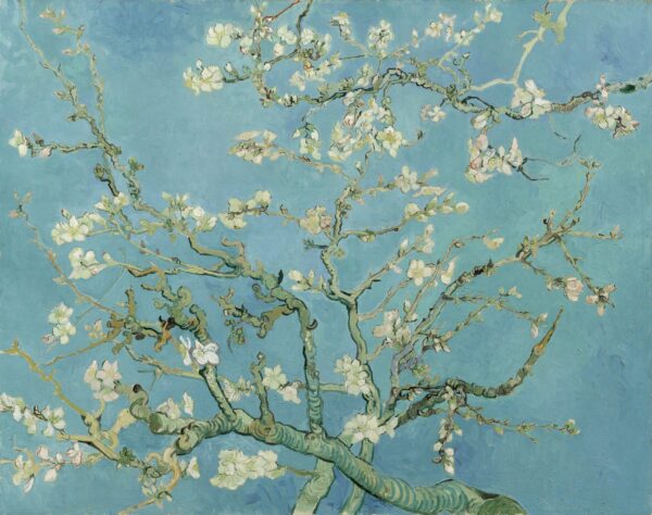 Los Almendros en Flor – Van Gogh Cuadros populares Master Apollon