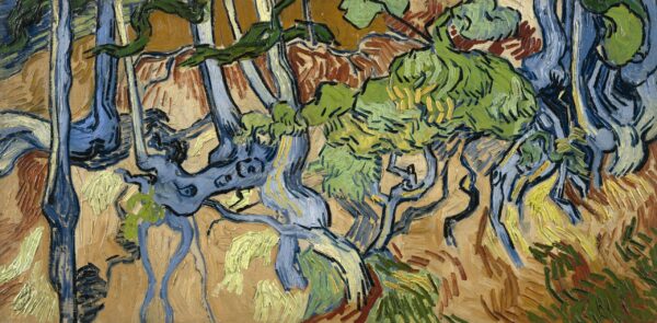 Raíces de árboles – Van Gogh Vincent Van Gogh Master Apollon