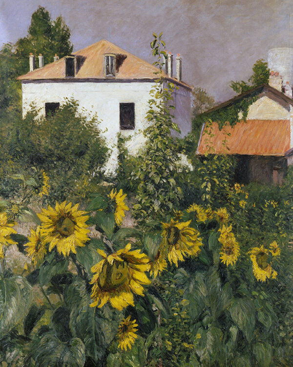 Girasoles en el jardín del Petit Gennevilliers – Caillebotte Gustave Caillebotte Master Apollon