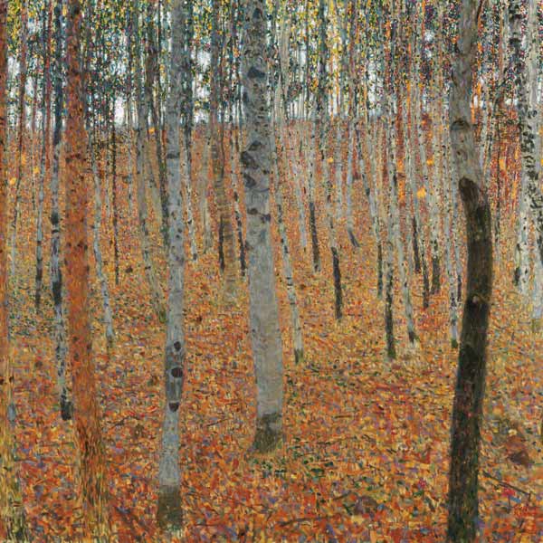 Bosque de abedules – Gustav Klimt Cuadros populares Master Apollon