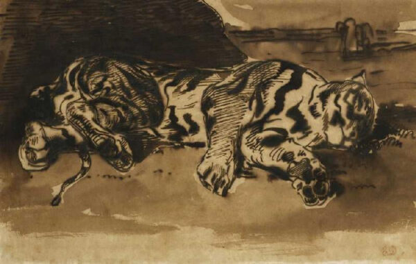 Tigre Acostado – Eugène Delacroix Eugène Delacroix Master Apollon