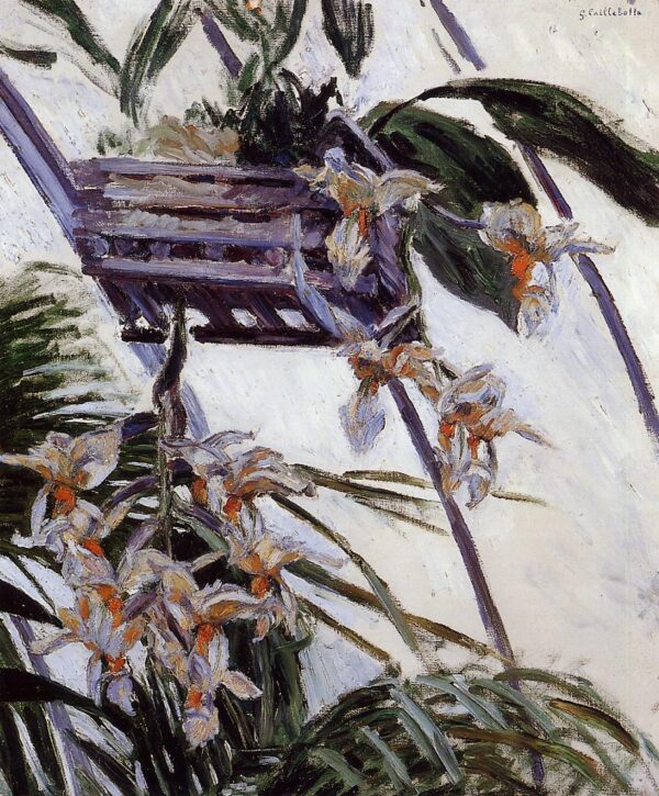 Orquídeas – Caillebotte Gustave Caillebotte Master Apollon