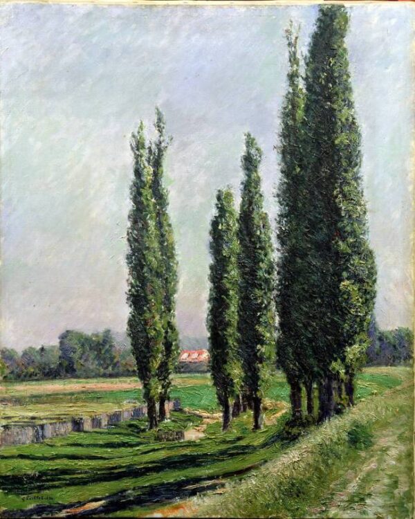 Álamos a la orilla del río en Argenteuil – Caillebotte Gustave Caillebotte Master Apollon