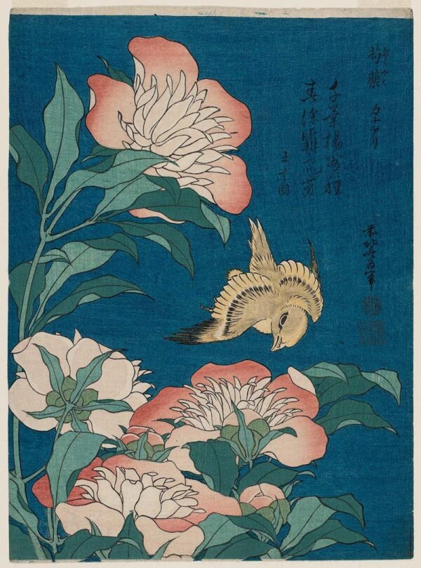 Hokusai, peonías y canario (shakuyaku, kanaari), de una serie sin título conocida como pequeñas flores – Katsushika Hokusai Katsushika Hokusai Master Apollon