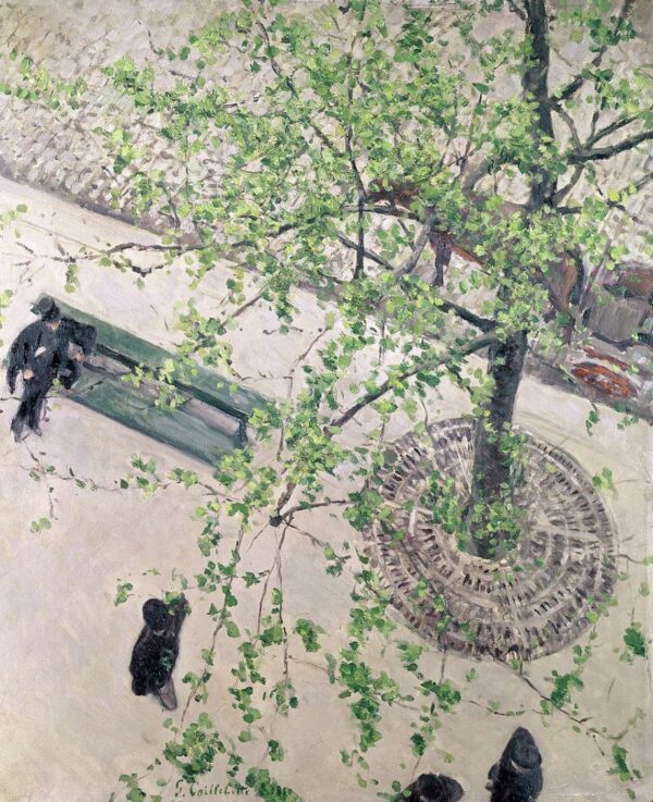 Gustave Caillebotte: Boulevard visto desde arriba – Caillebotte Gustave Caillebotte Master Apollon