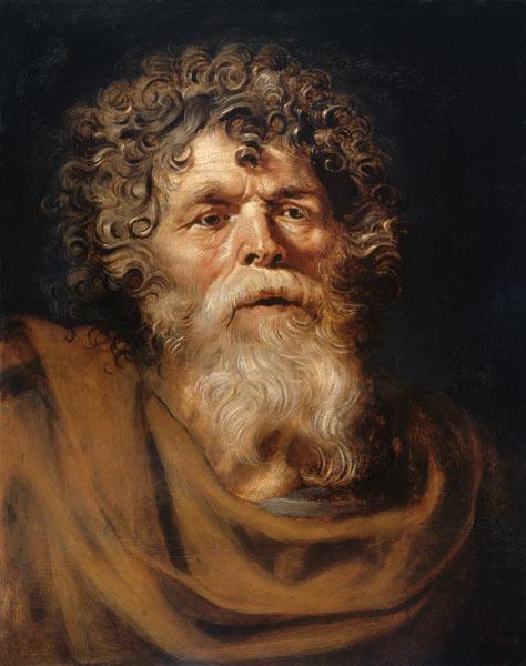 Cabeza de un anciano – Peter Paul Rubens Peter Paul Rubens Master Apollon