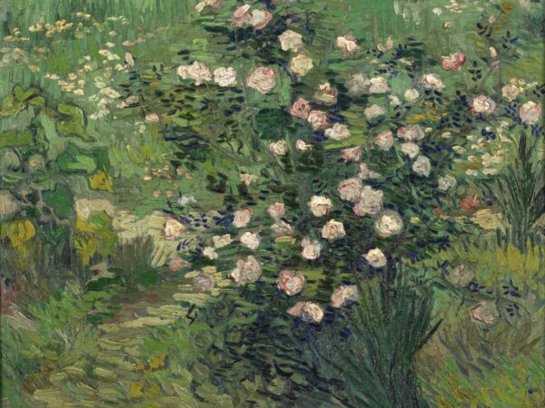 Las rosas – Van Gogh Vincent Van Gogh Master Apollon