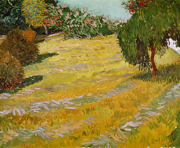 Campo a la luz del sol – Van Gogh Vincent Van Gogh Master Apollon